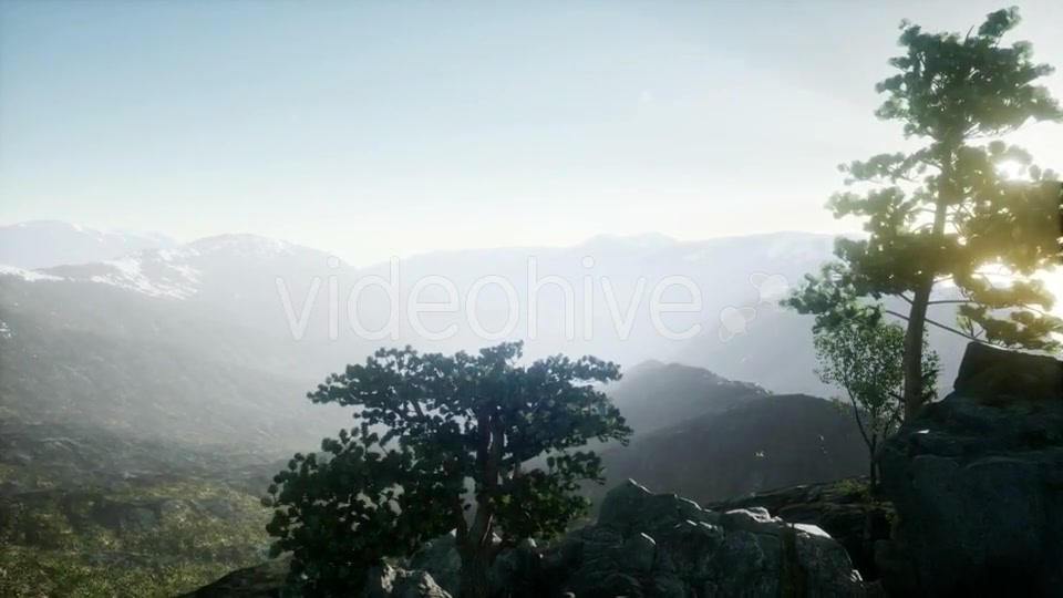 Sun Beams Through Trees - Download Videohive 20943451