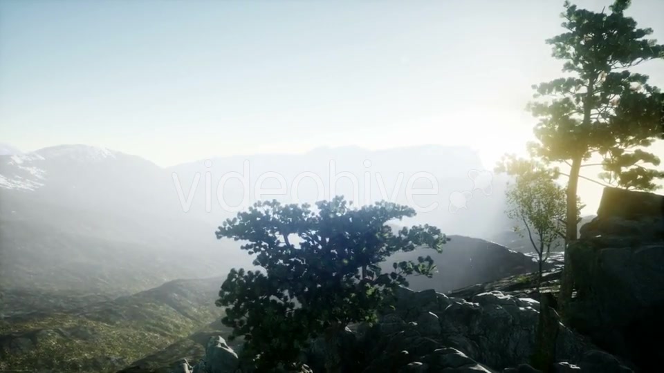 Sun Beams Through Trees - Download Videohive 20943451