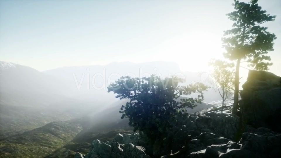 Sun Beams Through Trees - Download Videohive 20943451