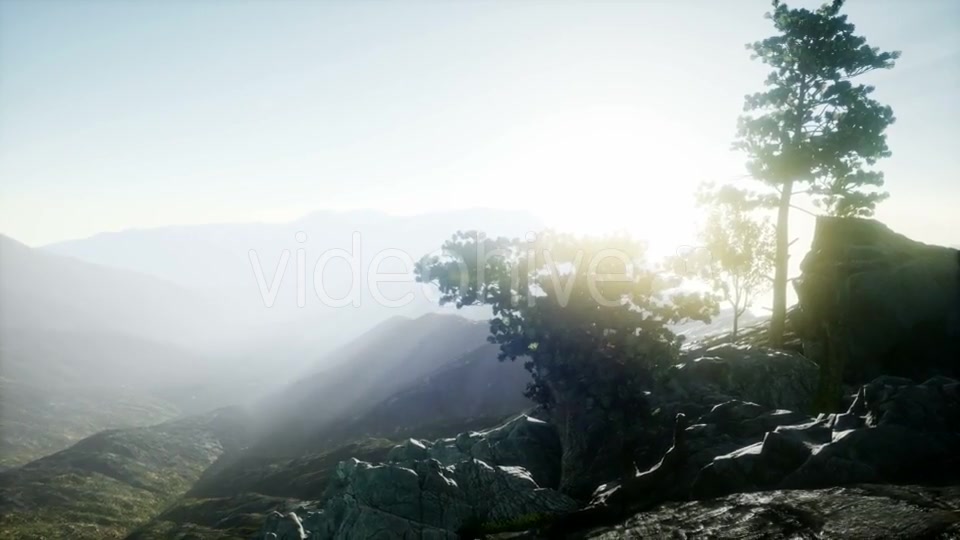 Sun Beams Through Trees - Download Videohive 20943451