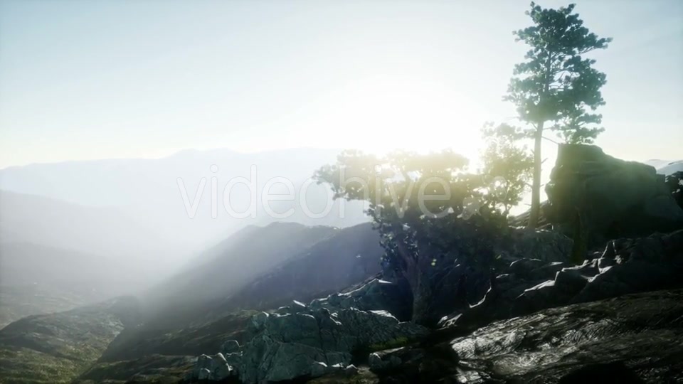 Sun Beams Through Trees - Download Videohive 20943451