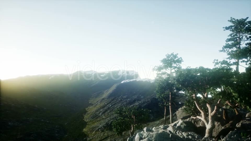 Sun Beams Through Trees - Download Videohive 20967380