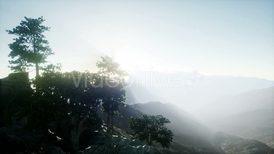 Sun Beams Through Trees - Download Videohive 21082216