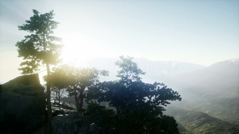 Sun Beams Through Trees - Download Videohive 21082216