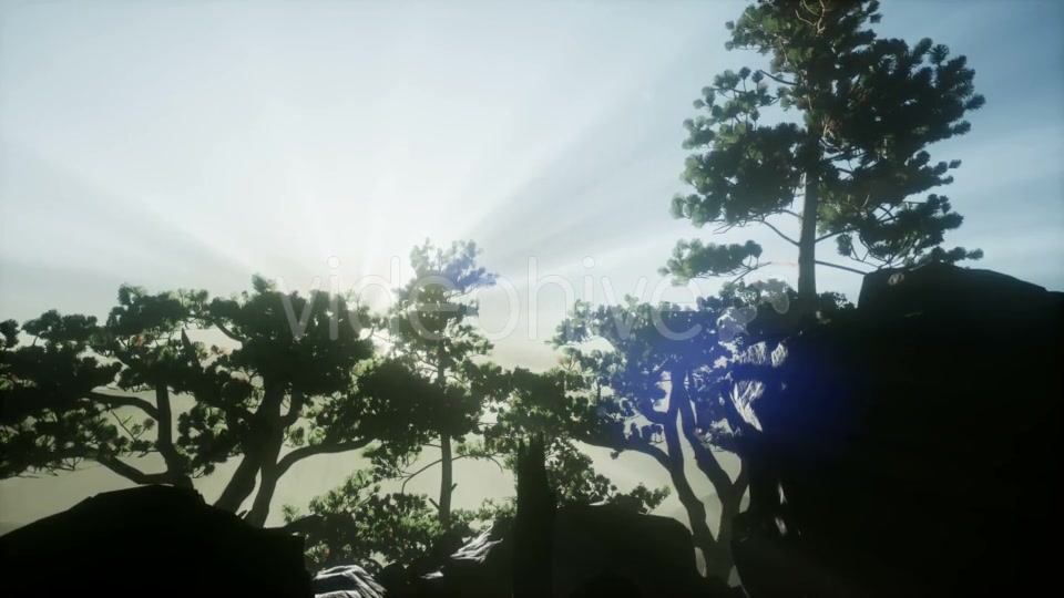 Sun Beams Through Trees - Download Videohive 21118278