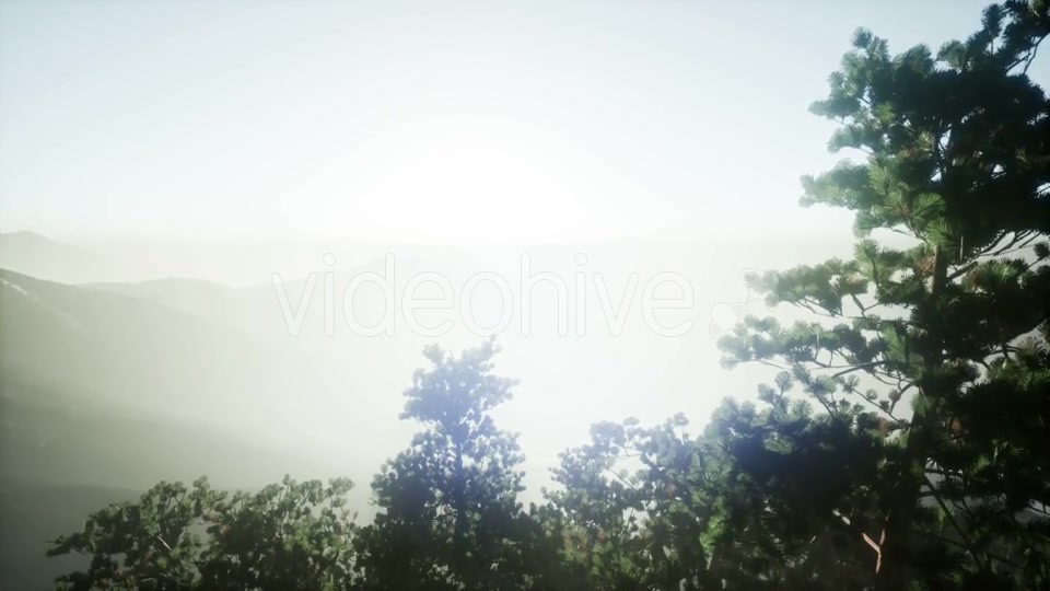 Sun Beams Through Trees - Download Videohive 21118278