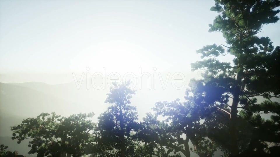 Sun Beams Through Trees - Download Videohive 21118278
