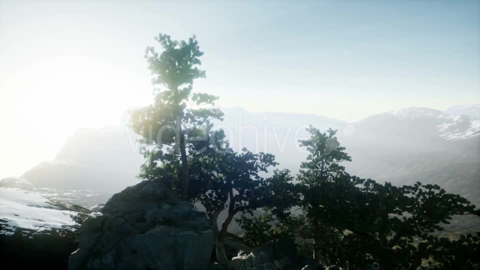 Sun Beams Through Trees - Download Videohive 21297417