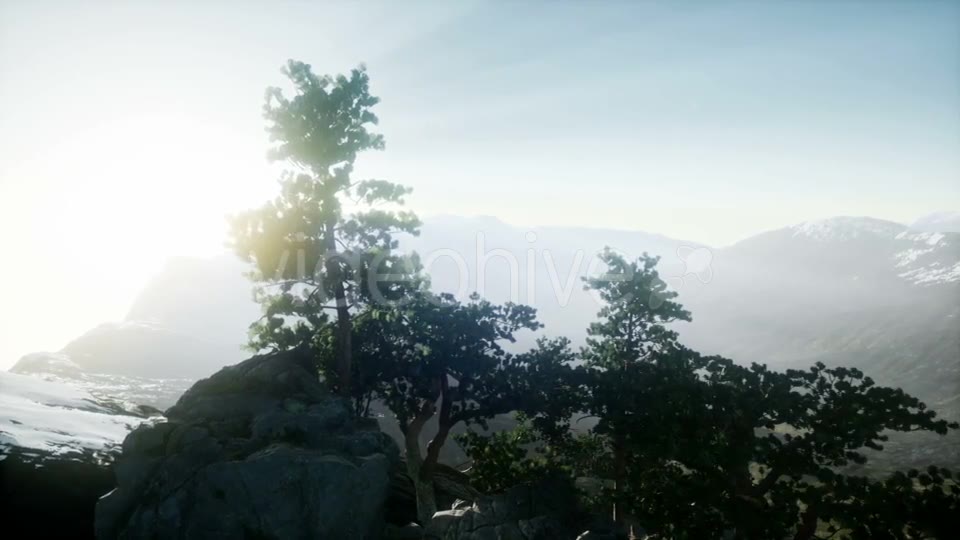 Sun Beams Through Trees - Download Videohive 21297417