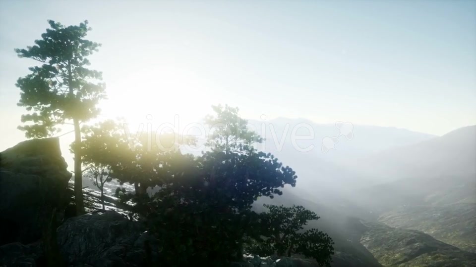 Sun Beams Through Trees - Download Videohive 21297417