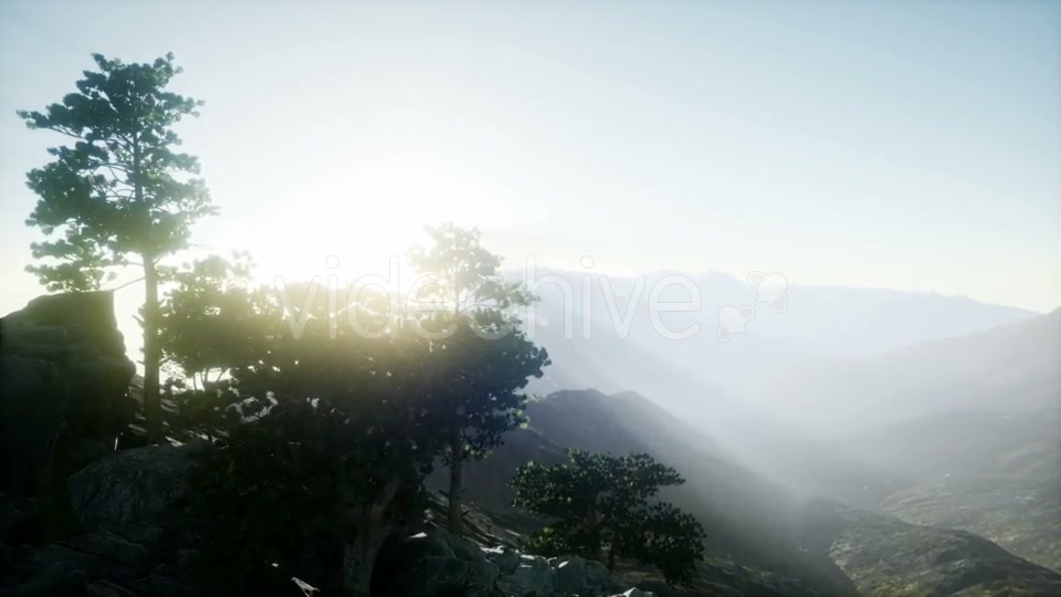 Sun Beams Through Trees - Download Videohive 21297417