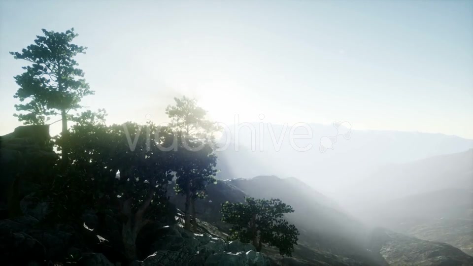 Sun Beams Through Trees - Download Videohive 21297417