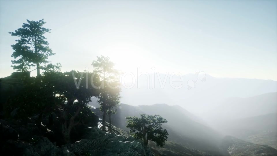 Sun Beams Through Trees - Download Videohive 21297417