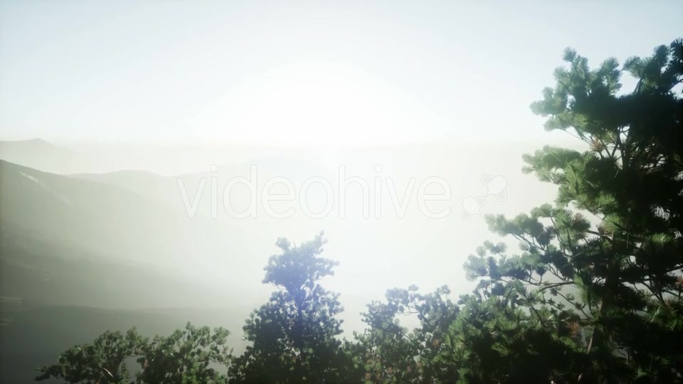 Sun Beams Through Trees - Download Videohive 21297421