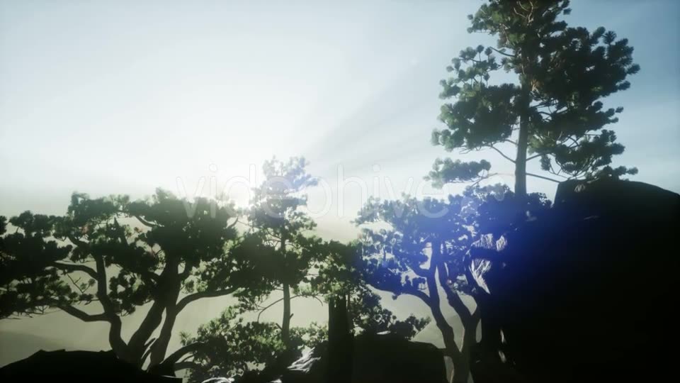 Sun Beams Through Trees - Download Videohive 21297421