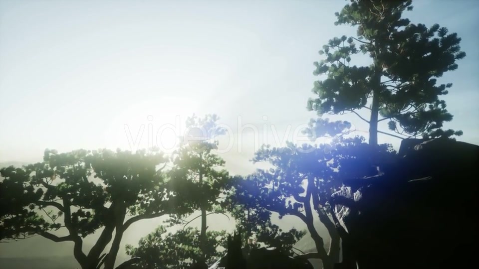 Sun Beams Through Trees - Download Videohive 21297421