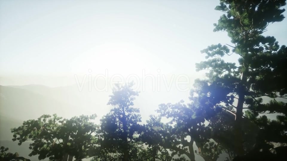 Sun Beams Through Trees - Download Videohive 21297421