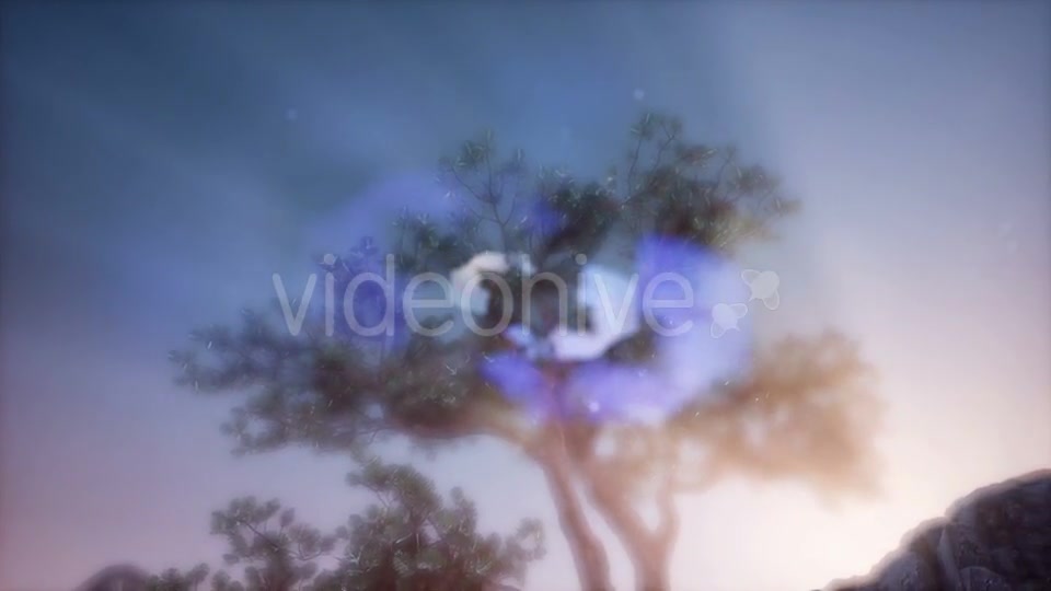 Sun Beams Through Trees - Download Videohive 21388921