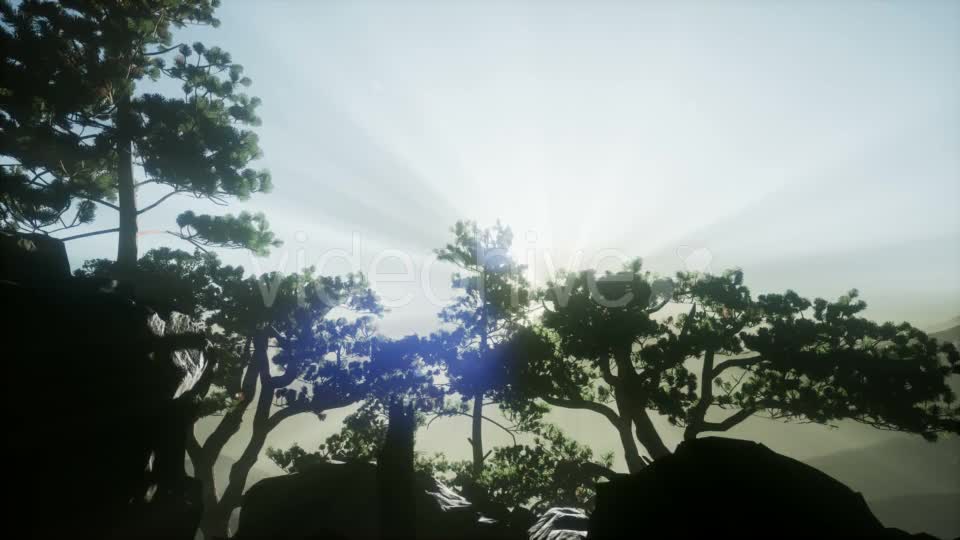 Sun Beams Through Trees - Download Videohive 21388972