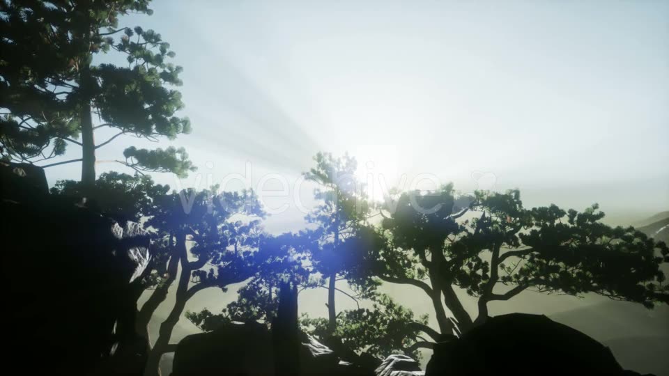 Sun Beams Through Trees - Download Videohive 21388972