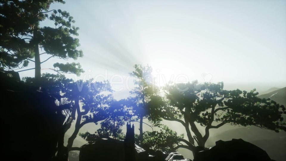 Sun Beams Through Trees - Download Videohive 21388972