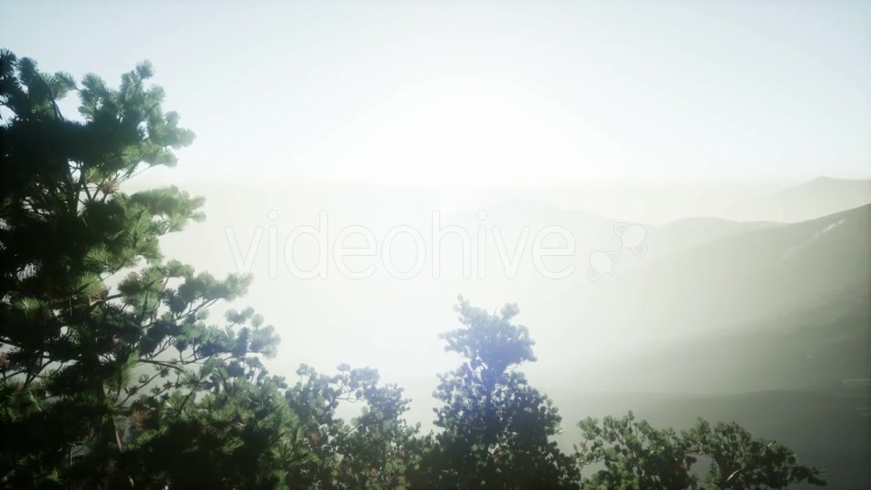 Sun Beams Through Trees - Download Videohive 21407946