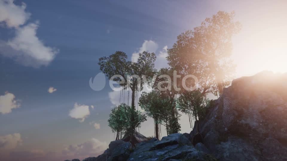 Sun Beams Through Trees - Download Videohive 21633733