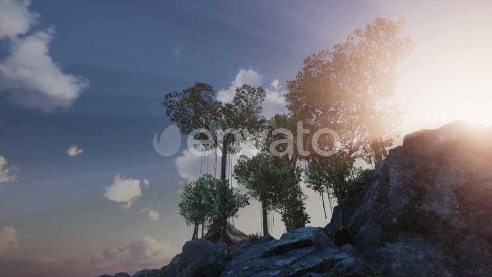 Sun Beams Through Trees - Download Videohive 21633733