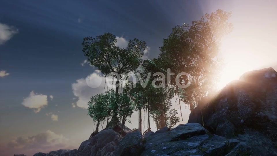 Sun Beams Through Trees - Download Videohive 21633733