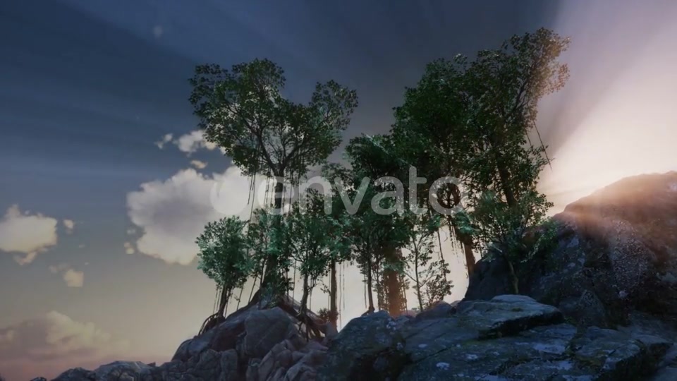 Sun Beams Through Trees - Download Videohive 21633733