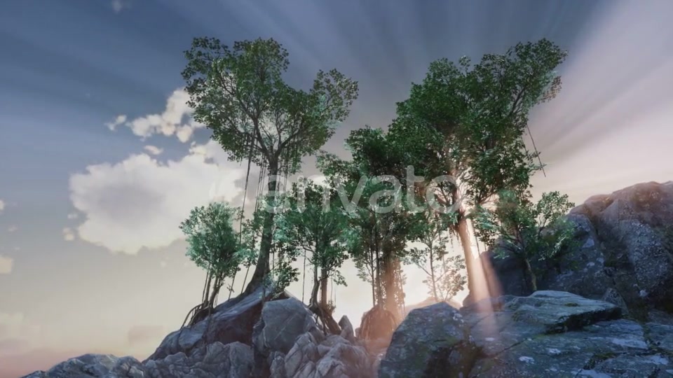 Sun Beams Through Trees - Download Videohive 21633733