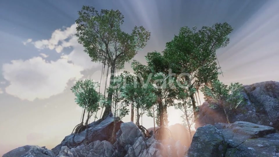 Sun Beams Through Trees - Download Videohive 21633733