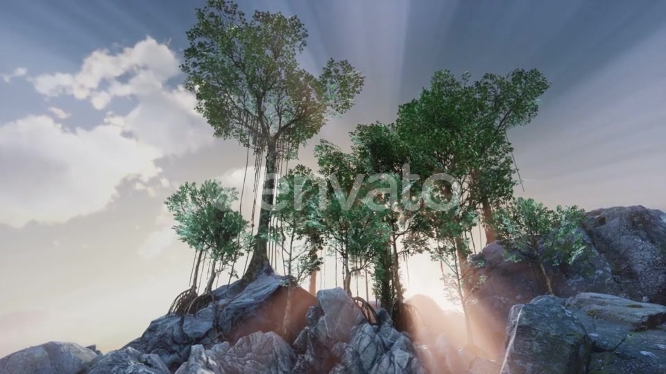 Sun Beams Through Trees - Download Videohive 21633733