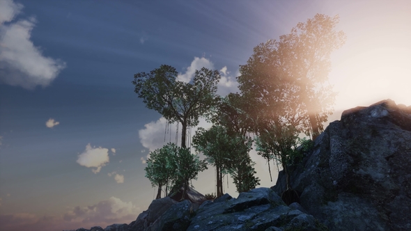 Sun Beams Through Trees - Download Videohive 21633733