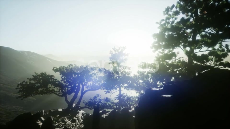 Sun Beams Through Trees - Download Videohive 21722201