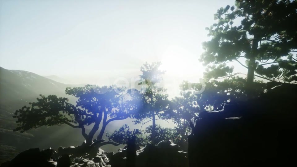 Sun Beams Through Trees - Download Videohive 21722201