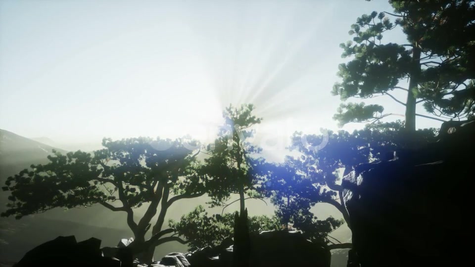 Sun Beams Through Trees - Download Videohive 21722201