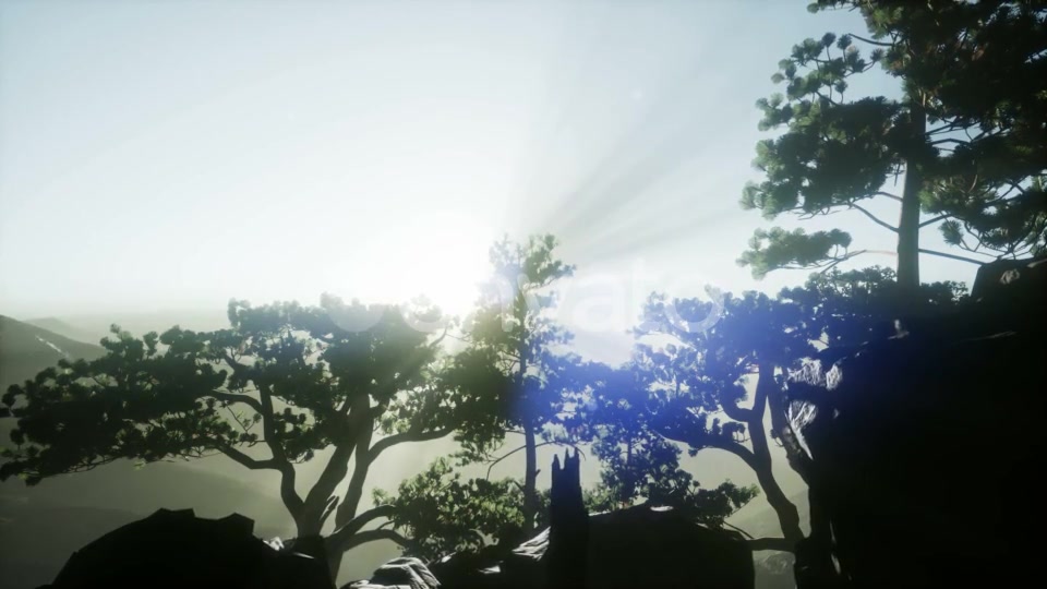 Sun Beams Through Trees - Download Videohive 21722201