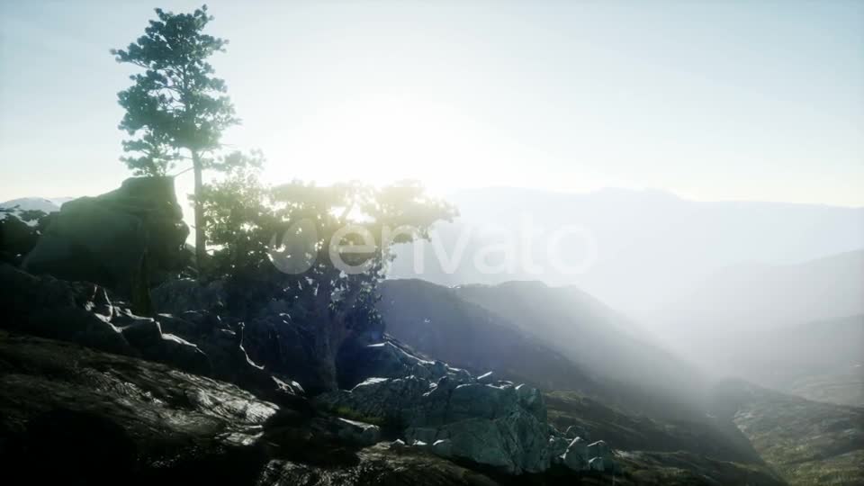 Sun Beams Through Trees - Download Videohive 21843403