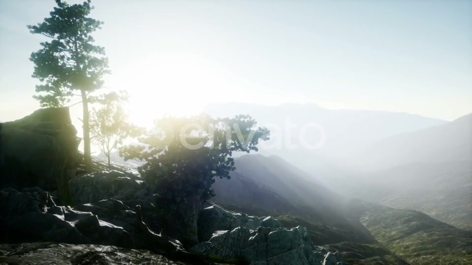 Sun Beams Through Trees - Download Videohive 21843403