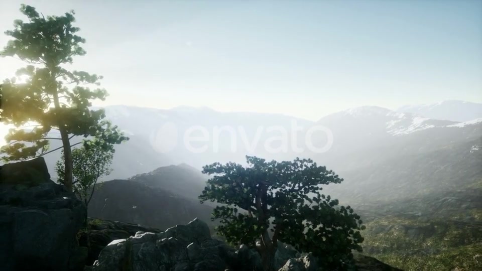 Sun Beams Through Trees - Download Videohive 21843403