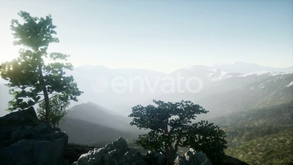 Sun Beams Through Trees - Download Videohive 21843403