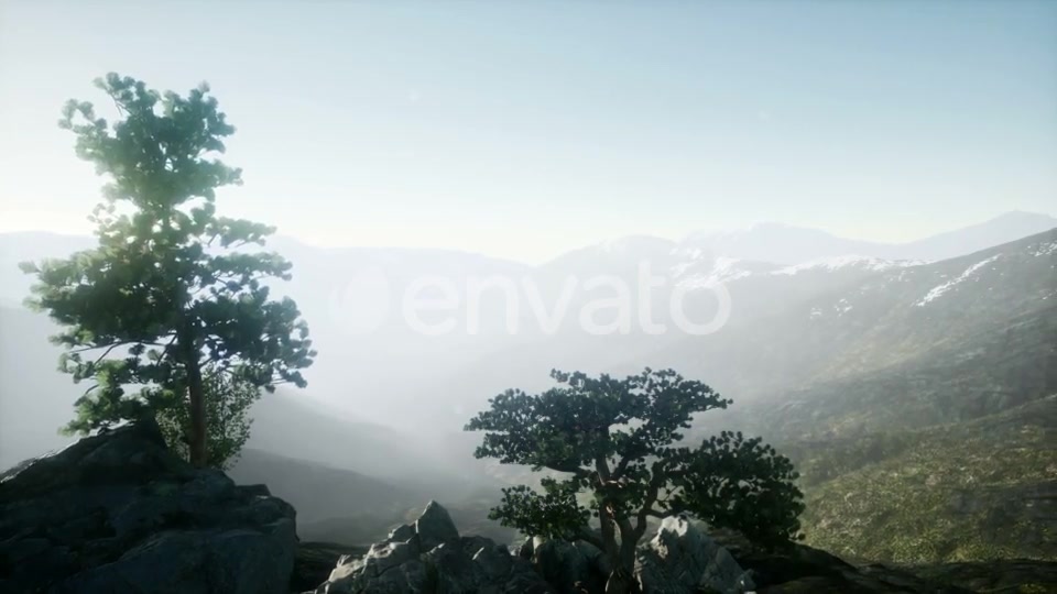 Sun Beams Through Trees - Download Videohive 21843403