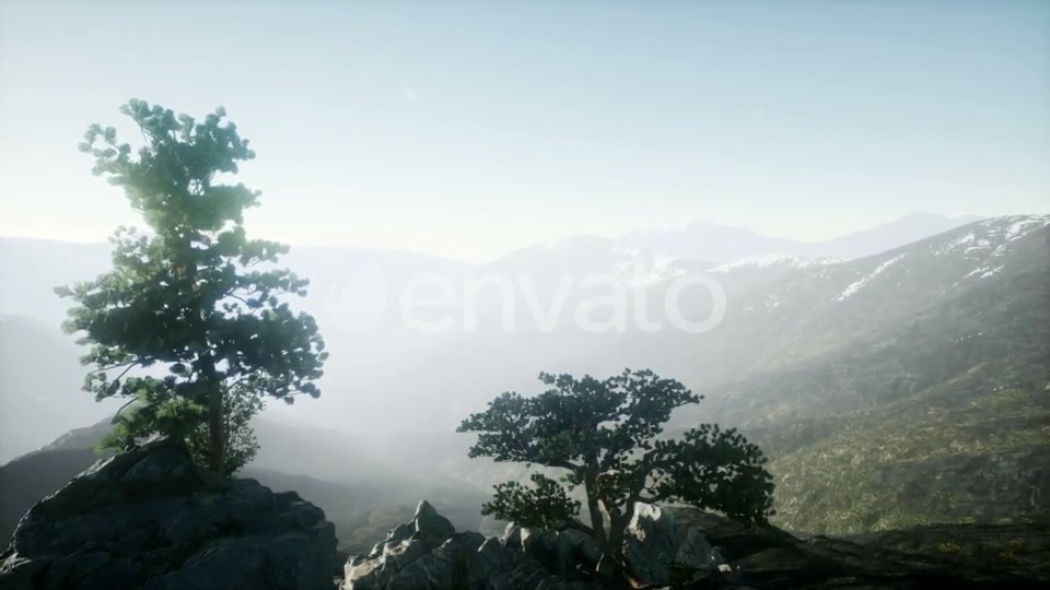 Sun Beams Through Trees - Download Videohive 21843403