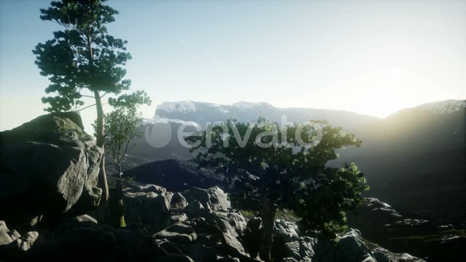 Sun Beams Through Trees - Download Videohive 21843579