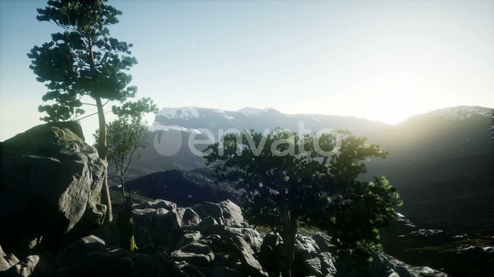 Sun Beams Through Trees - Download Videohive 21843579