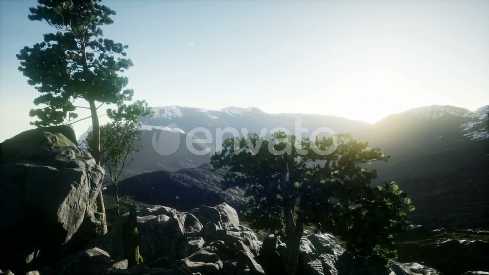 Sun Beams Through Trees - Download Videohive 21843579