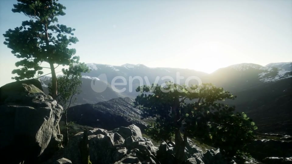 Sun Beams Through Trees - Download Videohive 21843579