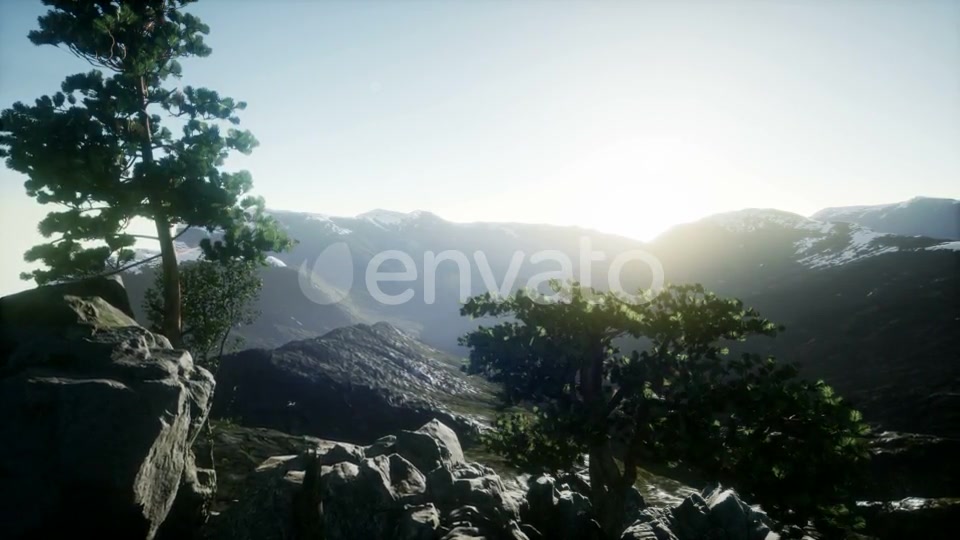 Sun Beams Through Trees - Download Videohive 21843579