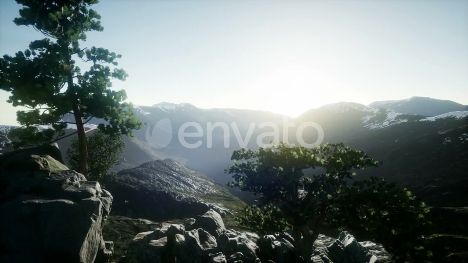 Sun Beams Through Trees - Download Videohive 21843579